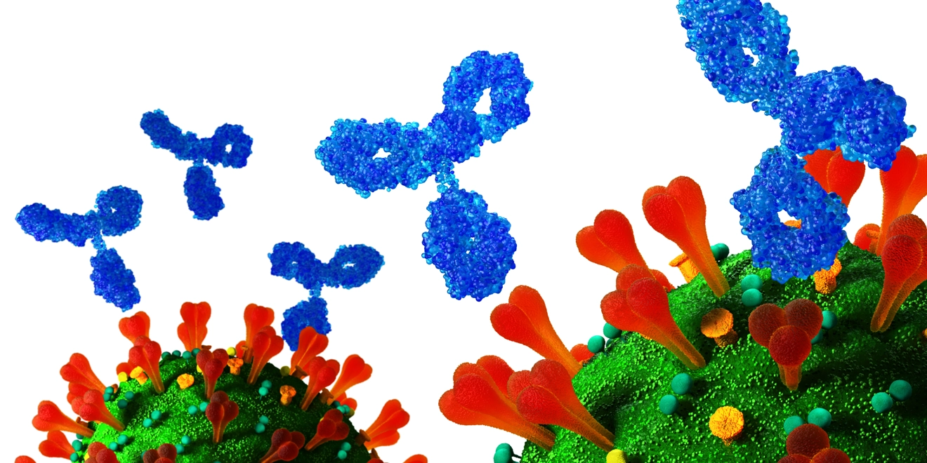 Combatting COVID-19 variants and the future of therapeutics
