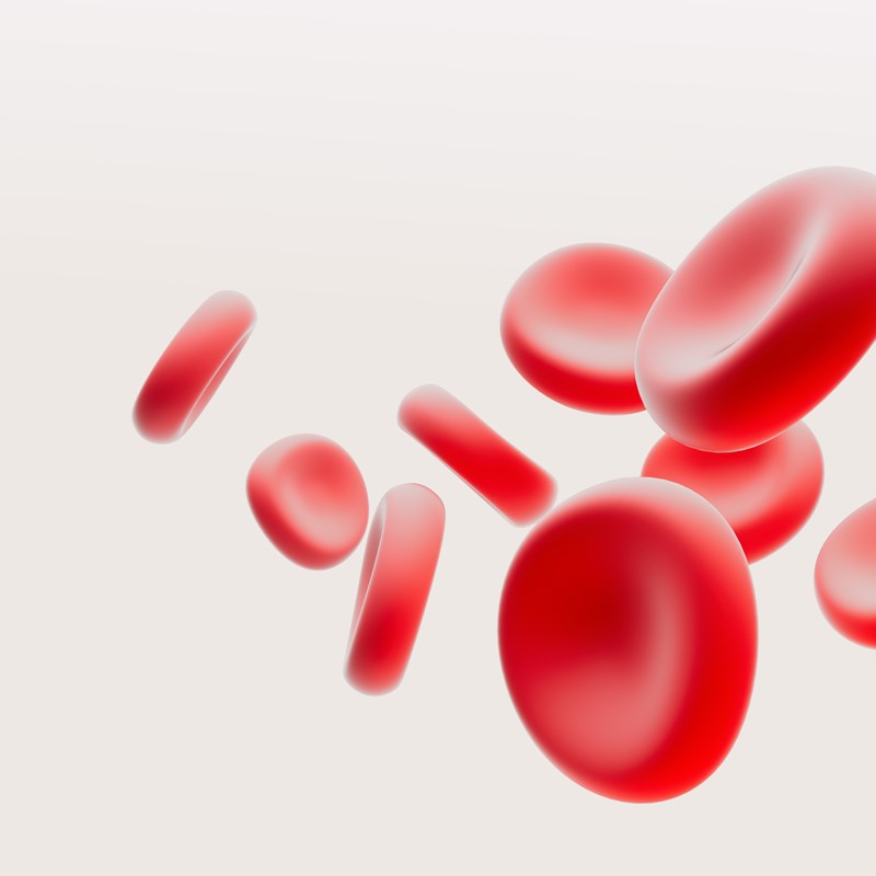 Cellules sanguines anémie