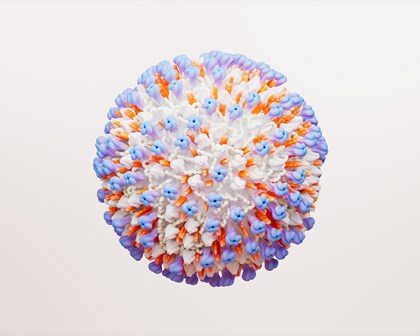 Molécule virus RSV