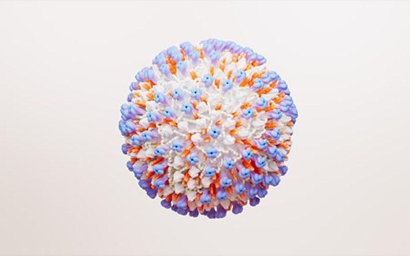 Molécule virus RSV