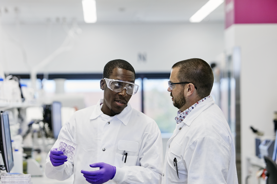 Deux scientifiques discutant dans un laboratoire