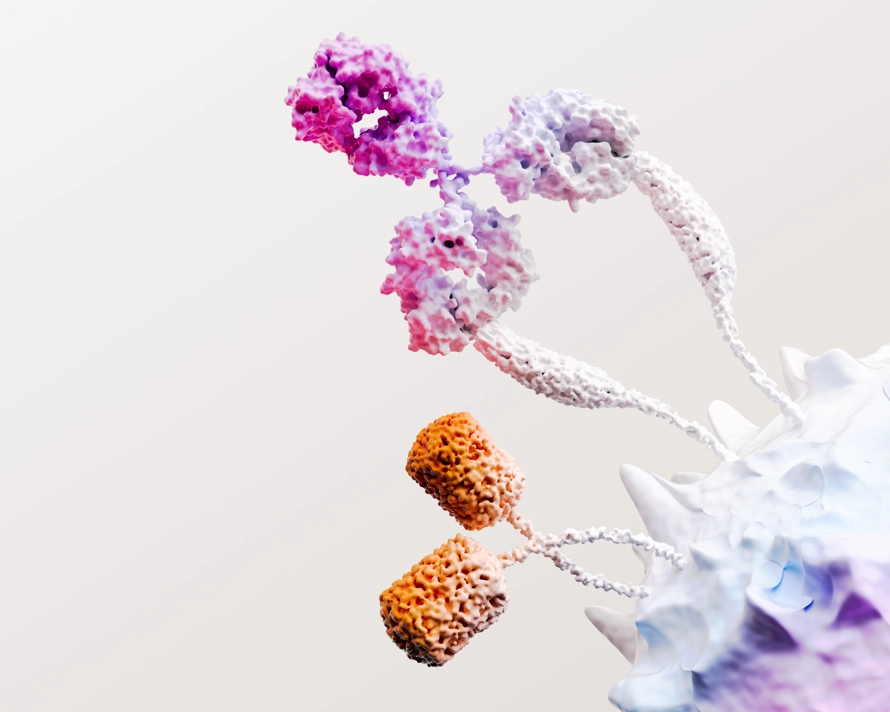 Immunology science illustration