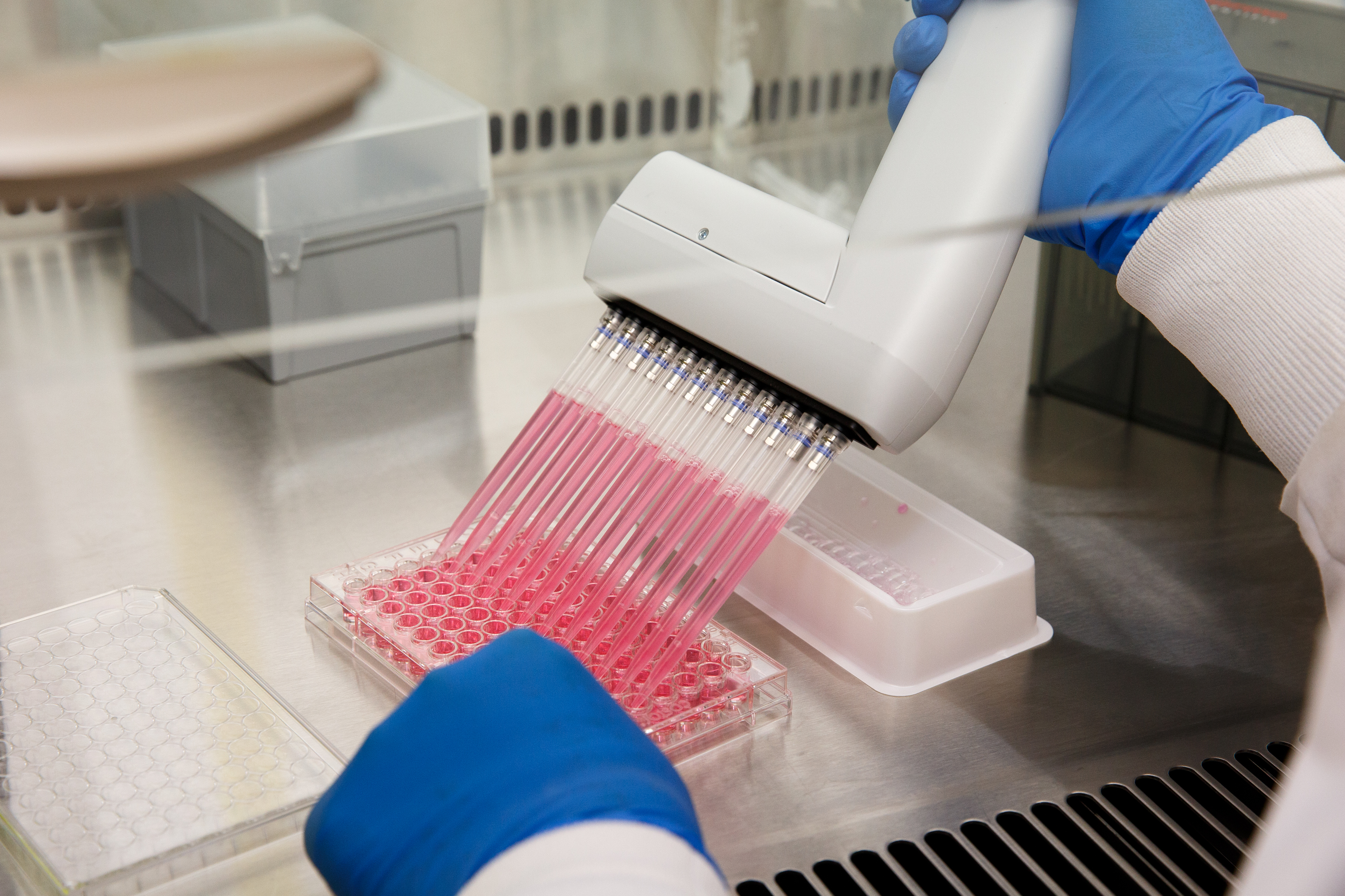 Pipettes laboratoire