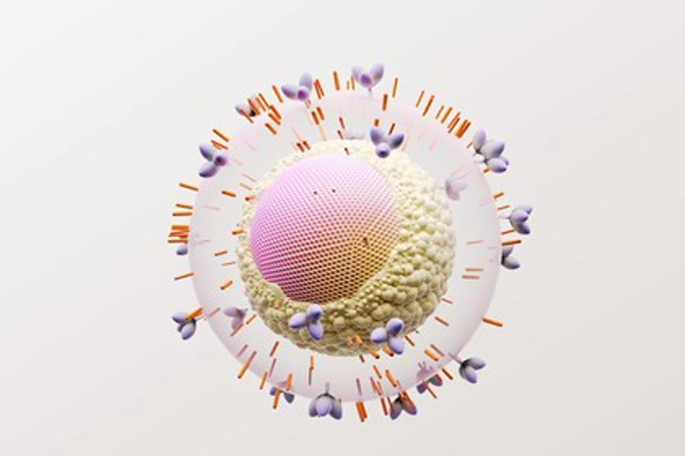 VIH molecule