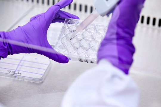 Matériel de laboratoire pipette