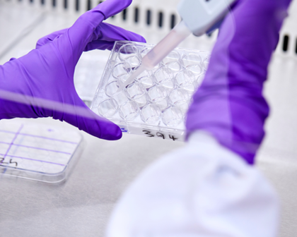 Matériel de laboratoire pipette