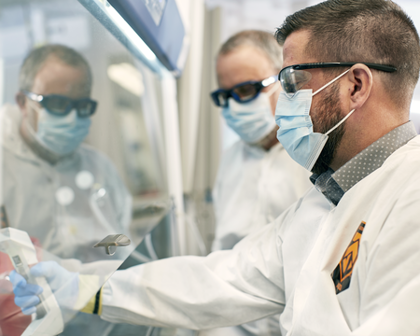 Employés travaillant dans un laboratoire