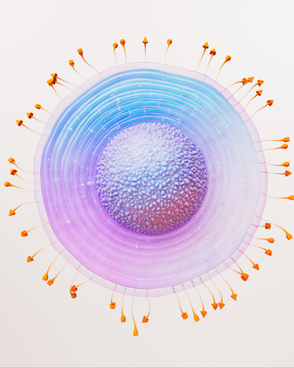 Représentation molécule virus