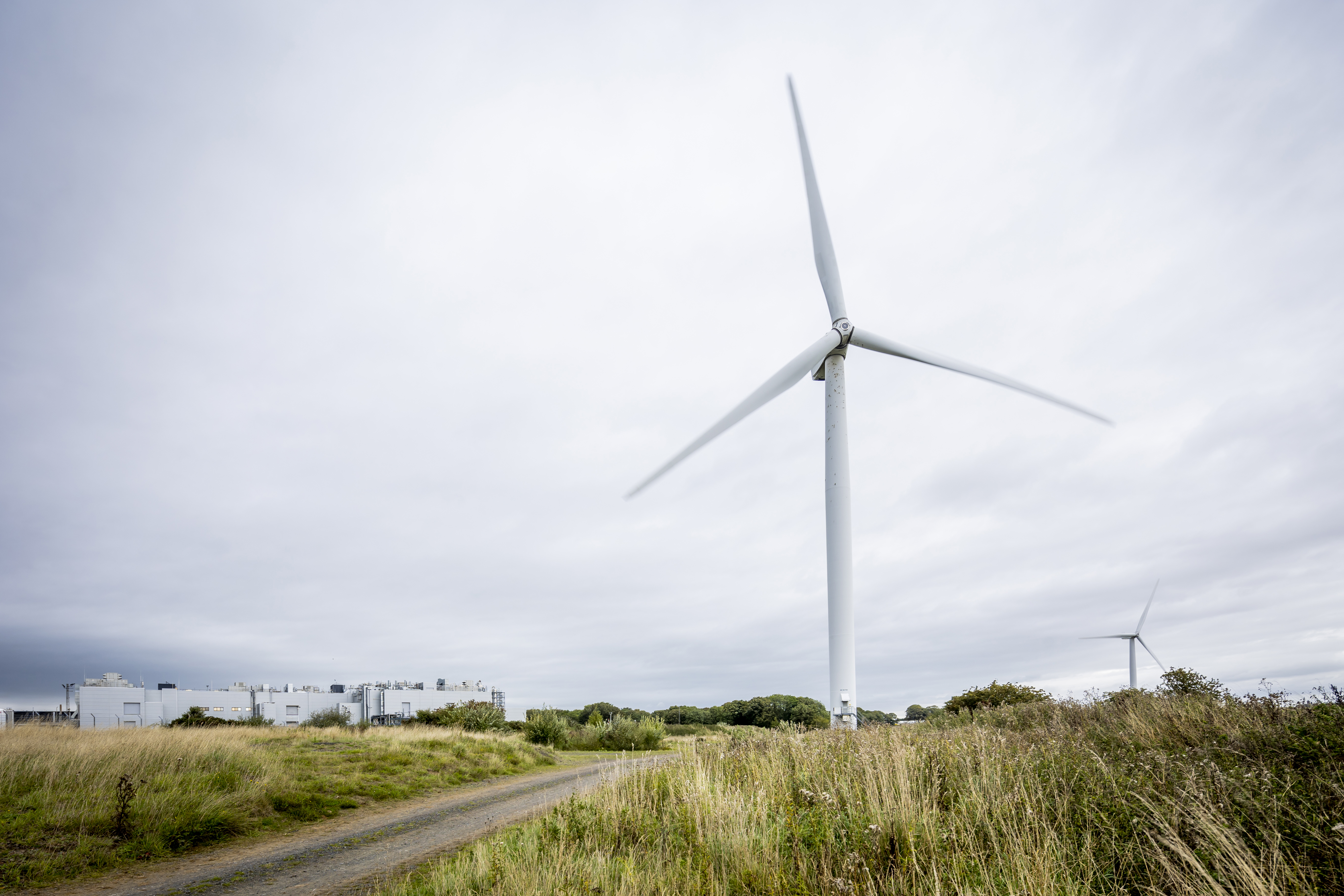 Une éolionne dans un champ